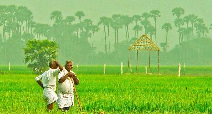 Farmers Producers Organization (FPO)